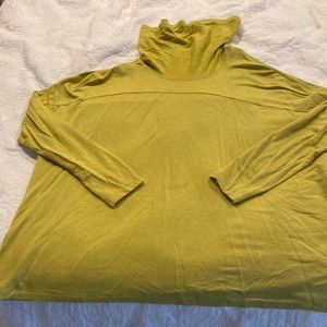 Cabi long sleeved turtleneck